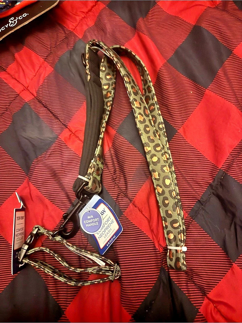 Leash and collar set